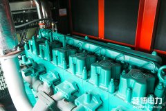 常見柴油機型號的含義是什么？