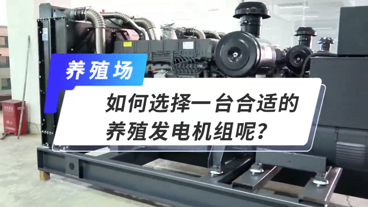 「視頻」如何選擇一臺合適的養(yǎng)殖發(fā)電機(jī)組呢？