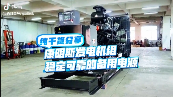 「視頻」如何應(yīng)對夏天斷電危機？640KW康明斯發(fā)電機組助您輕松應(yīng)對挑戰(zhàn) 